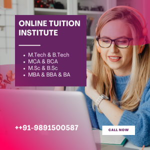 Excel in Your VIT University BTech Studies with Expert Online Tuition